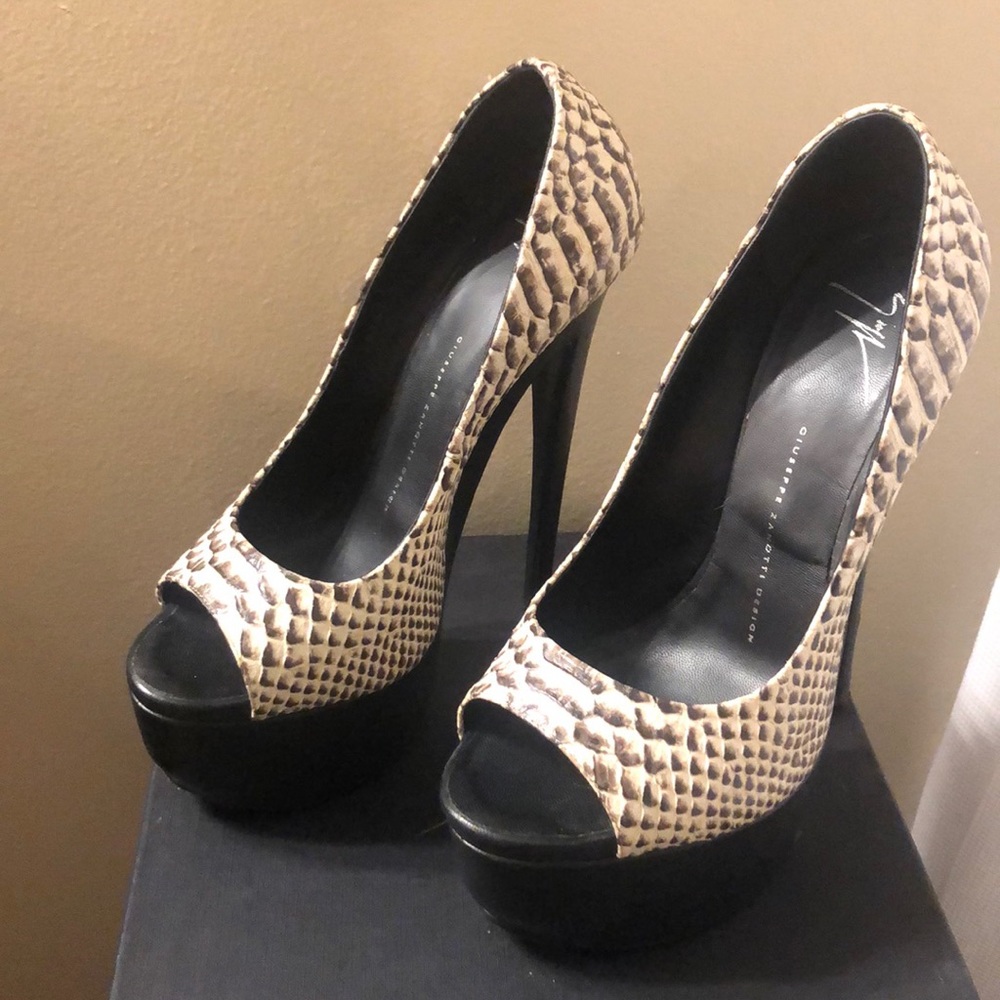 Giuseppe Zanotti